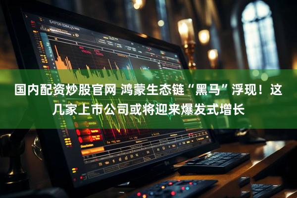 国内配资炒股官网 鸿蒙生态链“黑马”浮现！这几家上市公司或将迎来爆发式增长