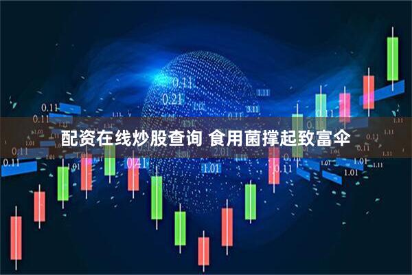 配资在线炒股查询 食用菌撑起致富伞