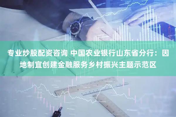 专业炒股配资咨询 中国农业银行山东省分行：因地制宜创建金融服务乡村振兴主题示范区